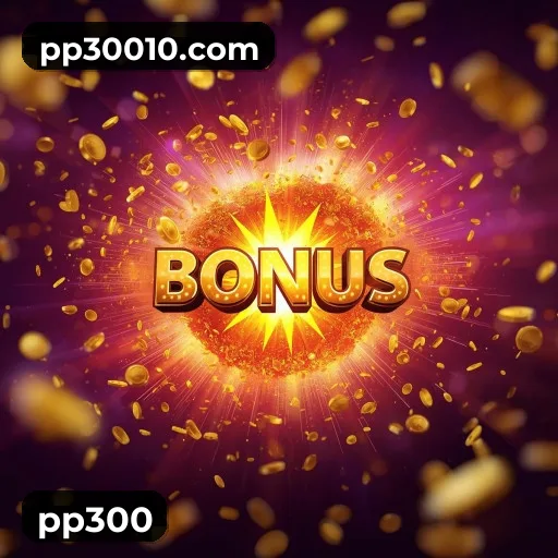 pp300 termos — contrato de uso e regulamento da plataforma